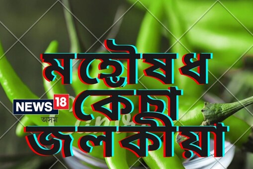 প্ৰথমিকভাৱে  আপুনি বিশ্বাস নকৰিব যে, আমাৰ পাকঘৰৰ কেঁচা জলকীয়াই অতিৰিক্ত ওজন হ্ৰাস কৰিবলৈ সক্ষম !