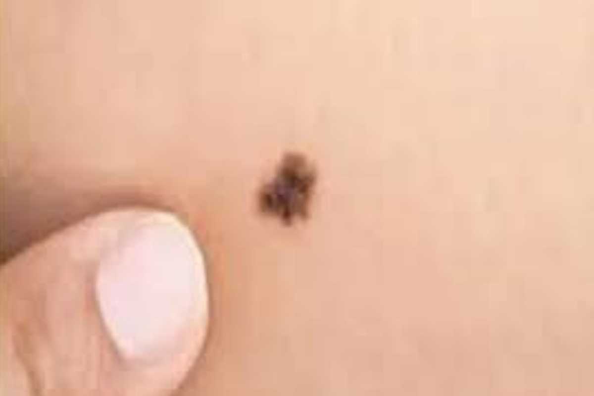 Yoshlar uchun porno jinsiy aloqa Mushukdagi sabzi