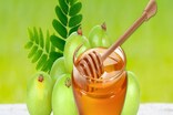 মৌ আৰু আমলখি এনেদৰে একেলগে খালে হয় বিৰাট লাভ