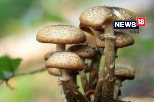 সাংকেতিক ছবি