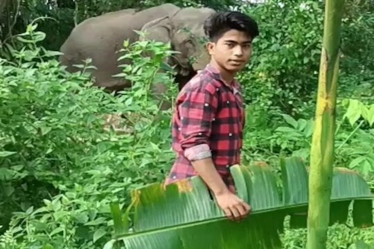 হাতীৰ লগত ৰীলছ বনাবলৈ গৈছিল যুৱক ! পিছে সহ্য নহ'ল গজৰাজৰ ...