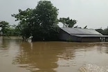 ঘৰৰ একঁকাল পানীৰ মাজতে দংশন কৰিলে সৰ্পই, কৰুণ মৃত্যু