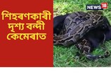 মৰিয়নীত শিহৰণকাৰী দৃশ্য বন্দী হ’ল কেমেৰাত