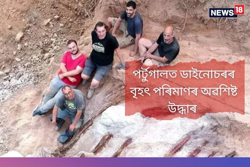 পৰ্টুগালত এজন ব্যক্তিৰ ঘৰৰ পাছফালে উদ্ধাৰ হোৱা ডাইনোচৰৰ অৱশিষ্ট অংশ বৰ্তমানলৈ ইউৰোপৰ আটাইতকৈ ডাঙৰ উদ্ধাৰ হিচাপে পৰিগণিত হৈছে। 
