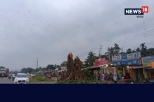 সিঁহতৰ ভাষা বুজে কোনে? নিজৰ আশ্ৰয়স্থল হেৰুৱাই দিশহাৰা এজাক চৰাই...