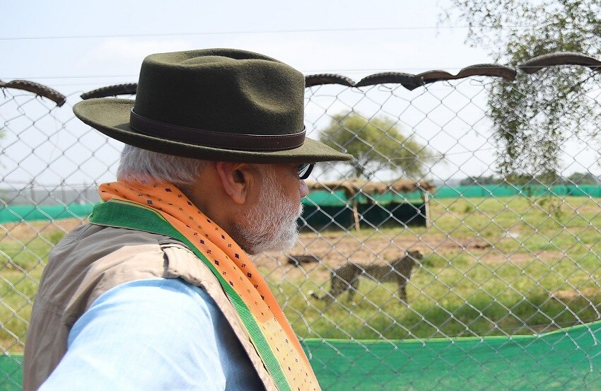 Prime Minister Narendra Modi releases the cheetahs-(0)