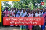 অবৈধ বালি সৰবৰাহকাৰী ডাম্পাৰৰ দৌৰাত্ম্যত বিধ্বস্ত চেলেং চাহ বাগিছাৰ পথ