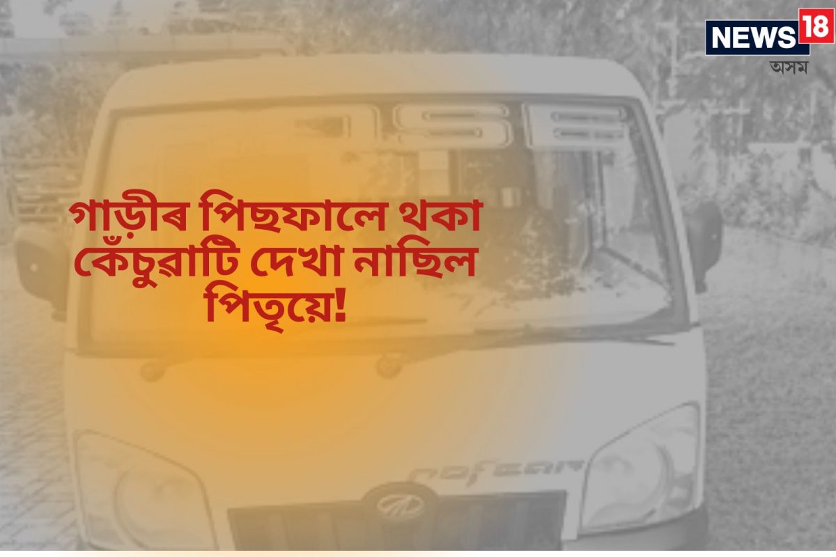 পিতৃৰ গাড়ীৰ চেঁপাত মৃত্যুমুখত এটি ১১মহীয়া কন্যা সন্তান