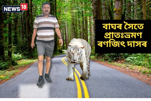 মন্ত্ৰীগৰাকীয়ে গুজৰাটত প্ৰাতঃভ্ৰমণ কৰাৰ সময়ত এটা বাঘৰ সৈতে এইদৰে খোজ কাঢ়ে।