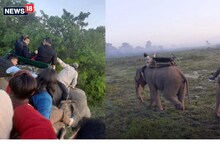 কাজিৰঙাত হাতী ছাফাৰীৰ সময়ত খোল খালে হাওদা