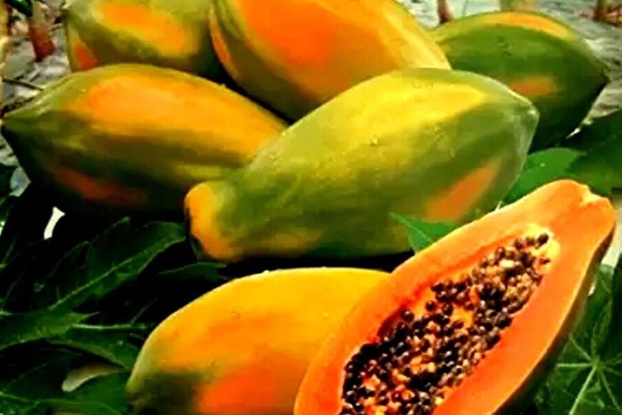  অমিতাৰ বীজ স্বাস্থ্যৰ বাবে অত্যন্ত ভাল। অমিতাৰ বীজে চৰ্বি কমাবলৈ যাদুৰ দৰে কাম কৰে।