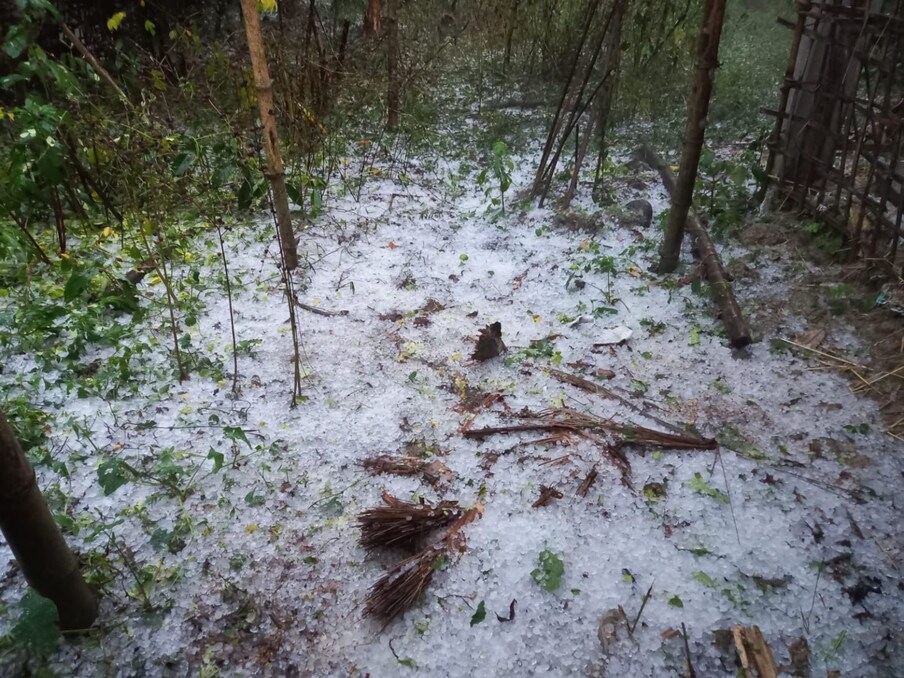  পুহ মাহত শীতৰ প্ৰকোপ আটাইতকৈ বেছি পৰে। শীতকালৰ ঠাণ্ডাত মানুহে বিভিন্ন ধৰণৰ স্বাস্থ্যজনিত সমস্যাতো ভুগিবলগা হয়। চৰ্দি, জ্বৰ, কাহ ইত্যাদিৰ মাজেৰে মানুহে শীতকালৰ এই দিনকেইটা পাৰ কৰা দেখা যায়। এই দিনকেইটাত মানুহে জুইৰ তাপ লোৱা পৰিলক্ষিত হয় কিয়নো জাৰৰ দিনত জুইৰ তাপে মানুহক শীতৰ পৰা বহু পৰিমাণে সকাহ দিয়ে।