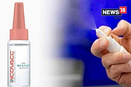 Covid Vaccine: বুষ্টাৰ পালিৰ পিছত নাকৰ ভেকছিন প্ৰদান কৰিব নোৱাৰি, কিন্তু কিয় ?