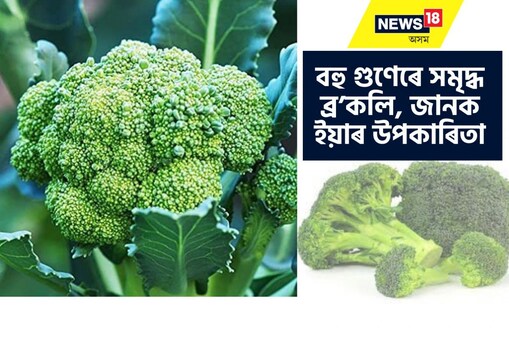 আপোনাৰ ডায়েট তালিকাত ব্ৰ’কলি নিশ্চিতভাৱে ৰাখক কাৰণ ইয়াত আছে সুস্বাস্থ্যৰ বাবে প্ৰয়োজনীয় এণ্টিঅক্সিডেণ্ট, হাই ফাইবাৰ আৰু বায়’এক্টিভ কম্পাউণ্ডছ।