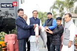 উৰুকা খাবলৈ মুখ্যমন্ত্ৰীলৈ আগবঢ়োৱা মাছবোৰ কি কৰিলে মুখ্যমন্ত্ৰীয়ে?