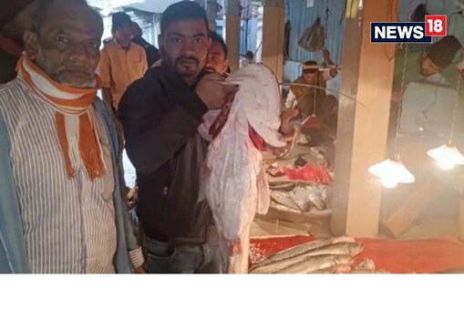 উৰুকা উপলক্ষে ৰাজ্যৰ বজাৰসমূহত দেখা গৈছে প্ৰকাণ্ড প্ৰকাণ্ড মাছ। ক’ৰবাত যদি ২০ কেজি ওজনৰ ভকুৱা, ক’ৰবাত আকৌ প্ৰকাণ্ড আৰি।
