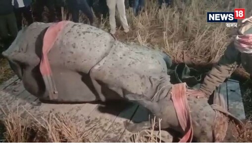 বন বিভাগৰ ব্যৰ্থতাৰ বাবে এনেদৰে গঁড়টোৱে মৃত্যুক আঁকোৱালি লোৱাৰ অভিযোগ উত্থাপিত হৈছে।