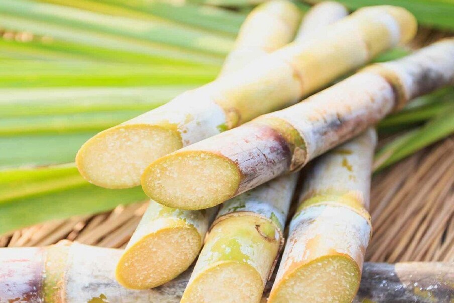  গ্ৰীষ্মকালত এগিলাচ মিঠা কুঁহিয়াৰৰ ৰসে অৱসাদ দূৰ কৰে। অৱশ্যে, সোৱাদত মিঠা হোৱা স্বত্বেও বহুতো ৰোগ নিৰাময় কৰাৰ বাবে কুঁহিয়াৰ ব্যৱহাৰ কৰা হয়। জণ্ডিচ, হেপাটাইটিছ ৰো গথকা ৰোগীসকলক কুঁহিয়াৰৰ ৰস দিয়া হয়। কুঁহিয়াৰৰ ৰস পেট পৰিষ্কাৰ কৰাৰ বাবেও উপকাৰী।