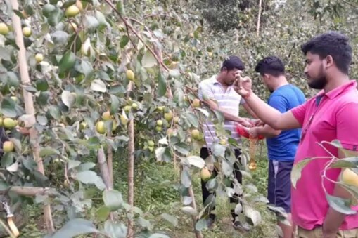 চাকৰীমুখী