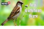 আজি বিশ্ব ঘৰচিৰিকা দিৱস, জানক ইয়াৰ ইতিহাস, থীম আৰু তাৎপৰ্য