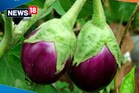 এই উপাদানটোৱে ডায়েবেটিচৰ পৰা হৃদৰোগ সহজে আৰোগ্য কৰিব পাৰে !