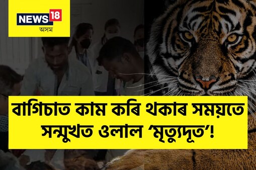 আঘাতপ্ৰাপ্ত লোকজনক লগে লগেই গোলাঘাটৰ শ্বহীদ কুশল কোঁৱৰ অসামৰিক চিকিৎসালয়ত ভৰ্তি কৰোৱা হয়৷