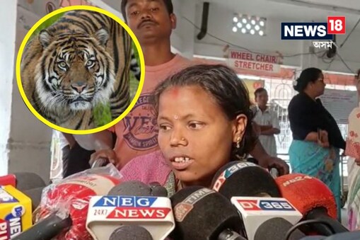 ঘটনাস্থলীত মহিলাগৰাকীৰ স্বামী উপস্থিত হৈ বাঘটো খেদি পঠিয়াবলৈ সক্ষম হয়৷ আঘাতপ্ৰাপ্ত মহিলাগৰাকীক লগে লগেই গোলাঘাটৰ শ্বহীদ কুশল কোঁৱৰ অসামৰিক চিকিৎসালয়ত ভৰ্তি কৰা হয়৷