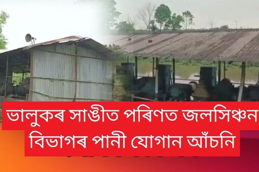 পূৰ্বৰ মুখ্যমন্ত্ৰী প্ৰয়াত হিতেশ্বৰ শইকীয়াৰ দিনতেই আৰম্ভ হোৱা নাহৰকটীয়া উপ-সংমণ্ডলৰ অধীনৰ টেঙাখাতস্থিত বহু কোটিটকীয়া এই জলসিঞ্চন প্ৰকল্পৰ  নলাসমূহ এতিয়া চিন মোকাম‌ নোহোৱাৰ পথত । বুঢ়ীদিহিঙৰ ভেকুলাজান বালিঘাটৰ পৰা সংলগ্ন কৰি টেঙাখাতৰ বিভিন্ন খেতি পথাৰলৈ পানী যোগান ধৰাৰ‌ বাবে যি নলা তৈয়াৰ কৰা হৈছিল ‌এতিয়া উক্ত নলা গছ বনেৰে ভৰি পৰিছে ৷ 
