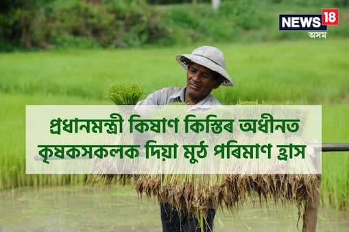 যোৱা বছৰৰ তুলনাত হিতাধিকাৰী কৃষকৰ সংখ্যা হ্ৰাস পাইছে