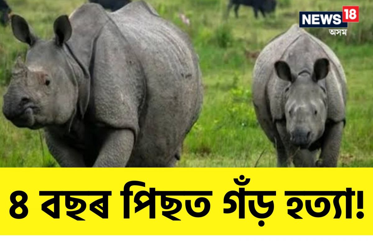 ৪ বছৰৰ পিছত বাগৰি বনাঞ্চলত গঁড় হত্যা