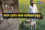 ঘনিষ্ঠ বন্ধুৰ পৰা পৃথক হোৱাৰ পিছত হতাশত এটা সাৰস পক্ষী