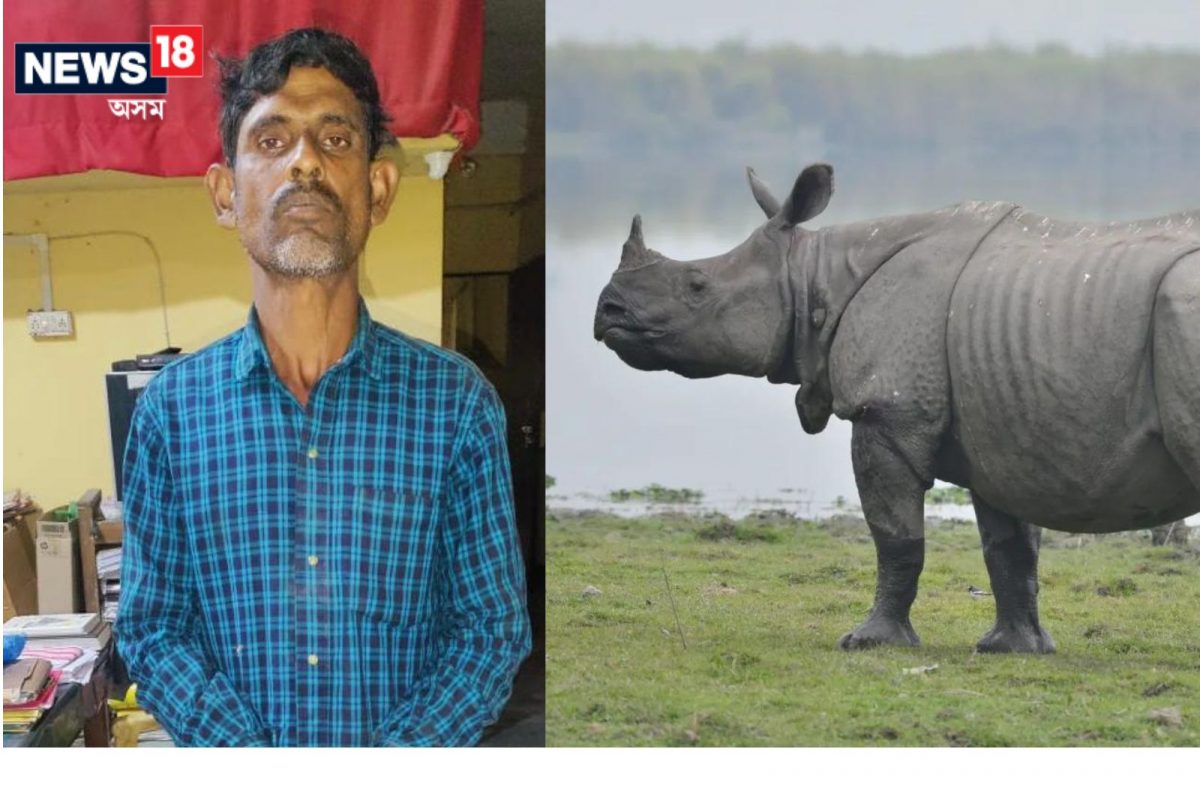 কাজিৰঙাৰ বাগৰি বনাঞ্চলৰ গঁড় নিধনকাৰী ছাইদুলৰ মৃতদেহ উদ্ধাৰ ব্ৰহ্মপুত্ৰত
