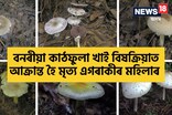 বনৰীয়া কাঠফুলা খাই বিষক্ৰিয়াত আক্ৰান্ত হৈ এজনৰ মৃত্যু