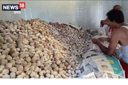 Laddu Festival in Hajo : ৭ লাখ ৫০ হাজাৰ লাড়ু, হাজোৰ ৰামদিয়াৰ ঐতিহাসিক পোৰাভিঠা সত্ৰত আজি লাড়ু উৎসৱ