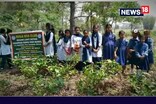 নলবাৰীৰ বৰজাৰত গঢ়ি উঠা চাহ বাগানত ভিৰ কৰিছে ছাত্ৰ ছাত্ৰীয়ে ...