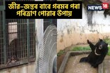 জীৱ–জন্তুক গৰমৰ পৰা পৰিত্ৰাণ দিবৰ বাবে চিৰিয়াখানা কৰ্তৃপক্ষৰ বিশেষ ব্যৱস্থা