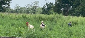 অস্কাৰৰ মঞ্চত ভাৰতৰ জয়জয়কাৰ