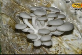অস্কাৰৰ মঞ্চত ভাৰতৰ জয়জয়কাৰ