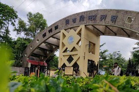 অস্কাৰৰ মঞ্চত ভাৰতৰ জয়জয়কাৰ
