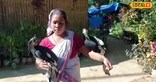 বনৰীয়া ধনেশ পক্ষী বাৰেকুৰিৰ ন-মটাপুং গাঁৱত ঘৰচীয়া ৰূপত