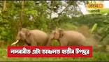 এসপ্তাহে উজাগৰী ৰাতি কটাইছে নলবাৰীৰ এটা অঞ্চলৰ ৰাইজে