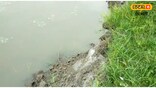 ব্ৰহ্মপুত্ৰৰ বুকুত নিঃশেষ হৈ যাব নেকি পৃথিৱীৰ বৃহত্তম নদীদ্বীপ মাজুলী?