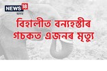 বিহালীৰ অসম-অৰুণাচল সীমান্তৰ ঠাণ্ডাপানীত বন্যহস্তীৰ গচকত এজনৰ মৃত্যু