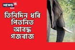 তেজপুৰত তিনিদিন ধৰি আবদ্ধ গজৰাজ, ক্ৰমাৎ অসুস্থ হৈ পৰা হাতীটোক উদ্ধাৰ কৰিবলৈ অক্ষম বন বিভাগ
