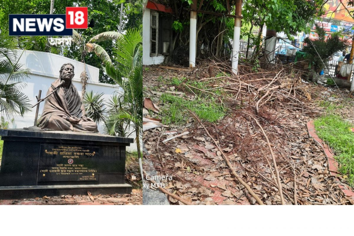 জাৱৰে আৱৰিছে মহানগৰীৰ প্ৰতিমা বৰুৱা পাণ্ডে উদ্যান