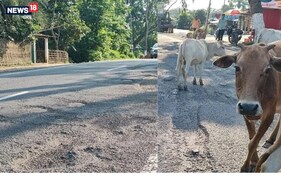 গাঁতে-গৰুৱে জ্বলাকলা খুৱাইছে ৰাষ্ট্ৰীয় ঘাইপথৰ পথচাৰীক