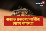 ধেমাজিত এনকেফেলাইটিছত আক্ৰান্ত হৈ দুজন লোকৰ মৃত্যু
