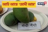 শীঘ্ৰেই বজাৰলৈ আহিব দেশৰ আটাইতকৈ ব্যয়বহুল ‘‘মোদী আম’’ !