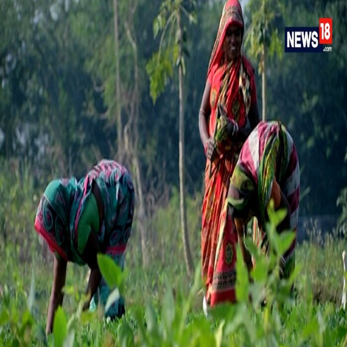  ৰাজ্য চৰকাৰে আৰম্ভ কৰা আঁচনি অনুসৰি এতিয়াৰ পৰা কৃষকক বছৰি ৬ হাজাৰ টকাৰ পৰিৱৰ্তে ১০ হাজাৰ টকা দিয়া হ’ব। এই আঁচনিৰ সকলো সবিশেষ চাওঁ আহক।