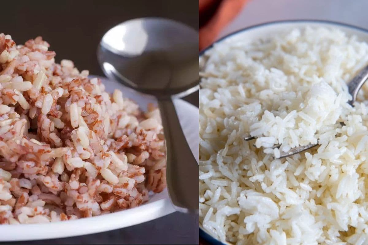 White Rice or Brown Rice বগা ভাত খাবনে ব্ৰাউন ৰাইচ? শৰীৰৰ বাবে কোনটো